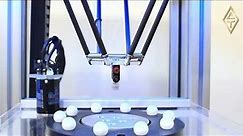 Delta Robot Using Kinematics