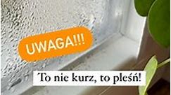 hapwinsklep.pl - To nie kurz, to PLEŚŃ!! 🦠 #pleśń #okna...