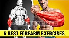 5 Best Exercises for Bigger Forearms