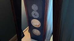 Vintage Infinity Speaker Buying and Repair Tips