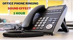 Office Phone Ringtone Sound Effect🎧 Office Phone Ringing Sound Effect 1 Hour