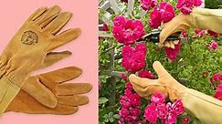 The Best Gardening Gloves to Keep Your Hands in Great Shape