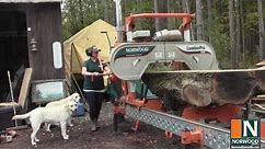 Making a Great Living with a Norwood HD36 Portable Sawmill - Meet Rose Forestry