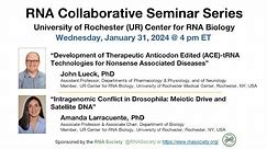 RNA Collaborative - University of Rochester Center for RNA Biology, January 31, 2024