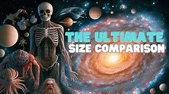 The SMALLEST to the LARGEST Thing in The Universe | The Ultimate Size Comparison