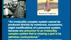 Irreducible Complexity (bacterial flagellum) debunked