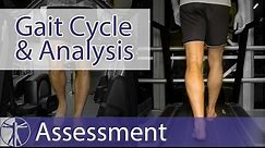 Gait Cycle & Gait Analysis