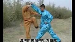 Kung Fu wu he quan fight techniques