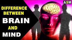 Difference between Brain And Mind | Brain vs Mind |