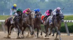 2 race horses die after running Belmont Stakes