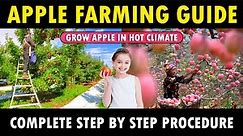 Apple Farming (Complete Guide) | How to grow tree Apple at Home | Apple Cultivation