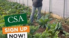 CSA produce sign up now open. Hurry to our site➡️ https://www.henrysfamilyfarm.com/csa-program | Henry’s Family Farm