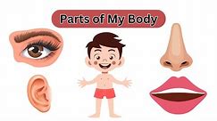 Learn Parts of My Body for Toddlers | English Vocabulary | Human Body Parts #1