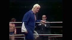 WWF ALL STAR WRESTLING (FEBRUARY 14TH 1981)