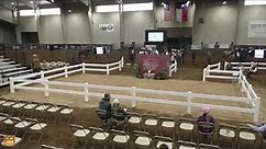 CHS Horse Sales Levelland TX Nov 2023 Nov18 2023