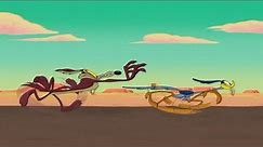 Every Wile E. Coyote and Road Runner Chase
