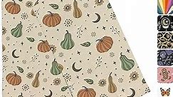 Shipping Bags Poly Mailers 6x9 – 200 Waterproof, Tear-Resistant Poly Bags for Shipping – Cute Packaging for Small Business – Lightweight Shipping Envelopes by Package Mint [Autumn Pumpkin]