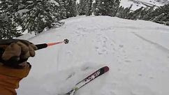 Alta Ski Area | Completely Socked In Epic Storm Skiing