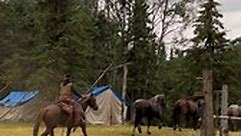 Wrangler Liam bringing in the morning stragglers ☀️ #sherwoodoutfitters #wrangler #wrangling #outfitting #outfitter #albertaoutfitter #alberta #mountainhorse #wranglinglife #packhorse #packhorses #mountains #mountainliving #basecamp #bighornsheep #bighornsheephunting #elk #moose #elkhunt #moosehunt #cowboy #cowboyup #cowboylife #livinginthemountains #huntalberta #horsesofinstagram #horses #horsestagram #trailriding #livingthedream | Sherwood Outfitters