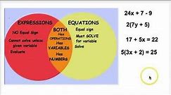 Difference between expressions and equations