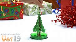 Mini Magical Growing Christmas Tree