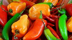 Bring On The Heat: Chile Peppers Around The World