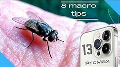 8 tips for macro photography with iphone 13 in 2022