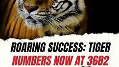 India's tiger success: These states are leading the way