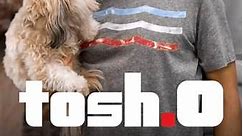 Tosh.0: Season 12 Episode 4 October 6, 2020 - Cat Food Reviewer