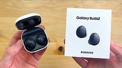 Samsung Galaxy Buds 2 Unboxing & First Impressions!