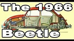 Classic VW BuGs The 1966 Beetle Features and One Year Options