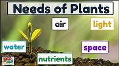 What Do Plants Need? The Needs of Plants