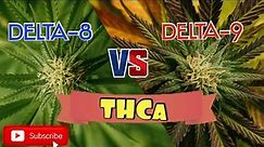 Two Sides of the Same Leaf: Delta-8 vs Delta-9 THCa