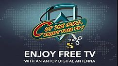 ANTOP Antenna Inc. AT-402BV PRO-LINE Flat Panel Outdoor HDTV Antenna with VHF Enhancer Rods