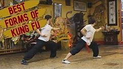 TOP 5 KUNG FU STYLES & THEIR SIGNATURE FORMS