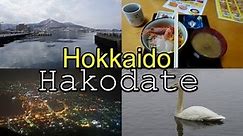 HOKKAIDO - Exploring Hakodate・函館 (Japan Travel Vlog #4)