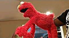 Tik Toks That Made Elmo Stop Laughing