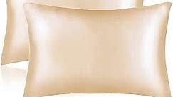 Sutuo Home Silk Pillowcase 2 Pack 100% Mulberry Silk Pillow Cases for Hair and Skin 6A Both Sides 19 Momme Natural Silk Pillow Cover Super Soft and Smooth Standard 20"x26" Champagne