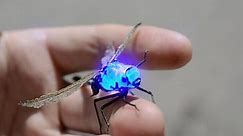 Dragonfly robot drone robotic glowing spy gadget