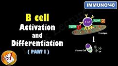 B cell Activation and Differentiation (PART 1): T Independent Activation (FL-Immuno/48)