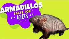 All About Armadillos - Armadillo Facts for Kids