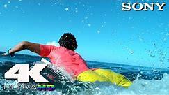 4K Ultra HD | SONY UHD Demo: Surfing