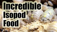Is this the ultimate ISOPOD Food?