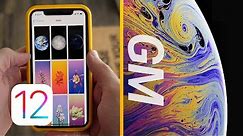 iOS 12 GM Released & Official iPhone XS Wallpapers!