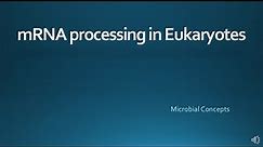 mRNA processing in eukaryotes | Microbiology | Molecular Biology | Biochemistry