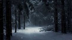 Winter Snow Forest Live Wallpaper | Xanh Share ♥
