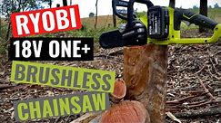 RYOBI 18v ONE+ Brushless Chainsaw Review - Should you buy?