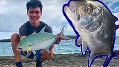 FISHING FOR ULUA! | Overnight Fishing Trip | Fishing for Papio | Fishing in Hawaii |