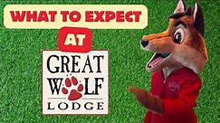 What to Expect on Your Trip to Great Wolf Lodge in Perryville, MD - Complete Lodge Tour