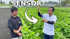 New Smart Japanese Way of Farming